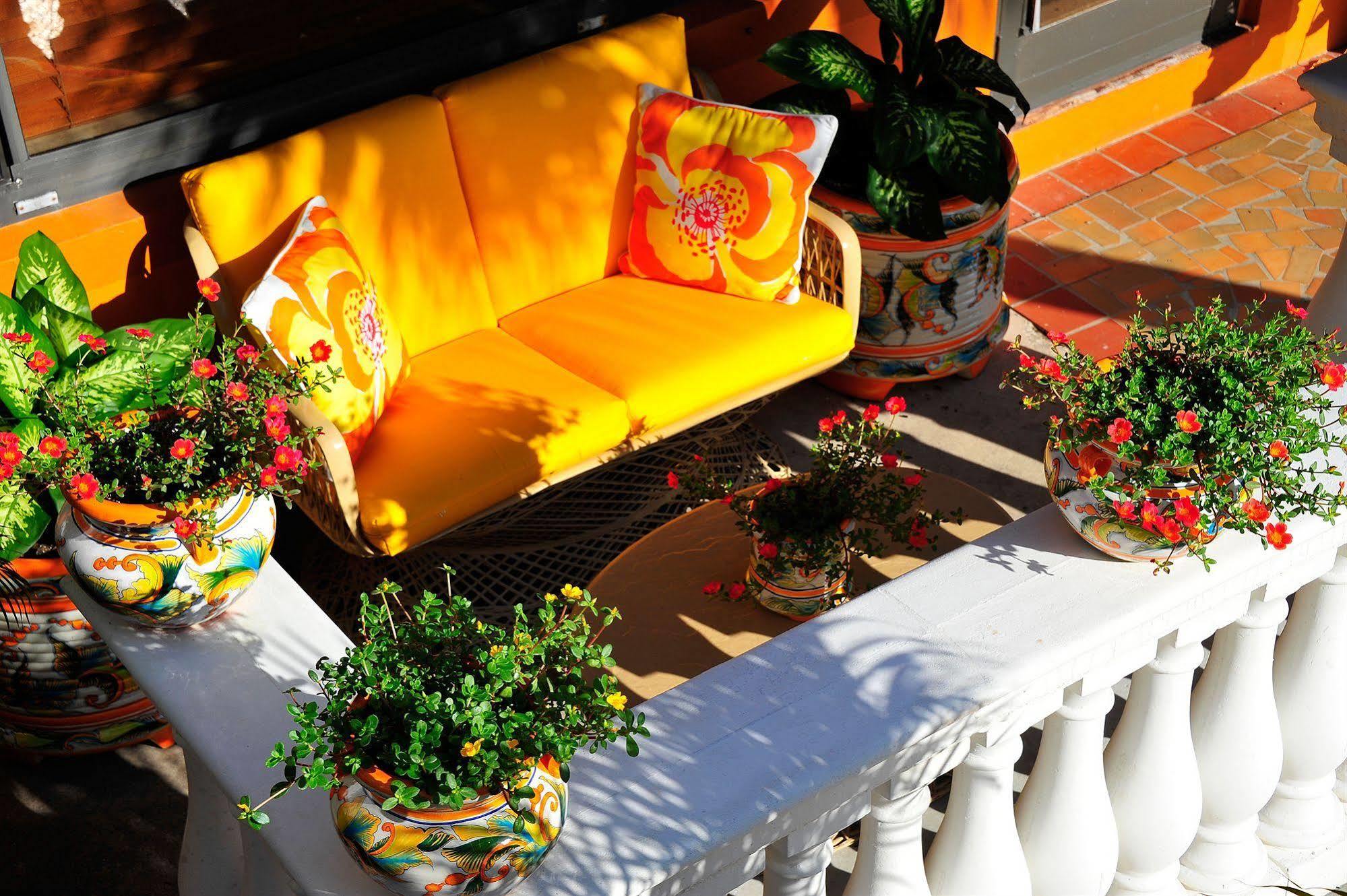Blue Seas Courtyard Hotel Lauderdale-by-the-Sea Exterior foto